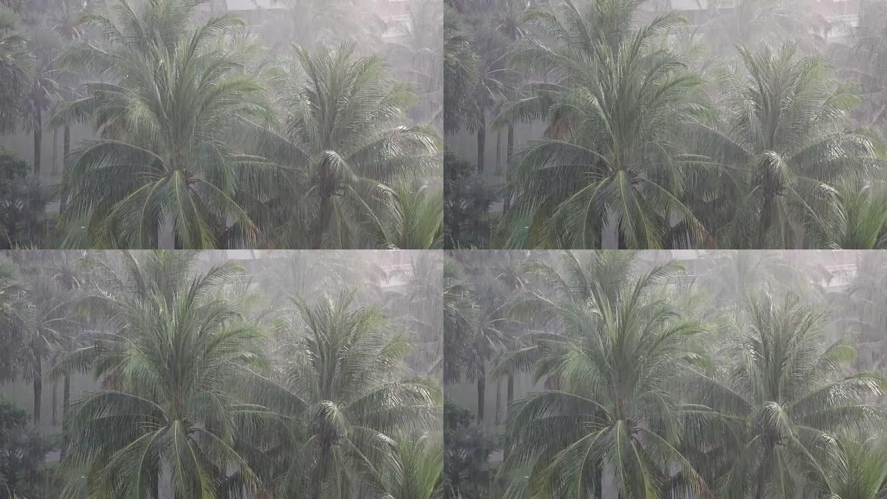 热带雨，全高清