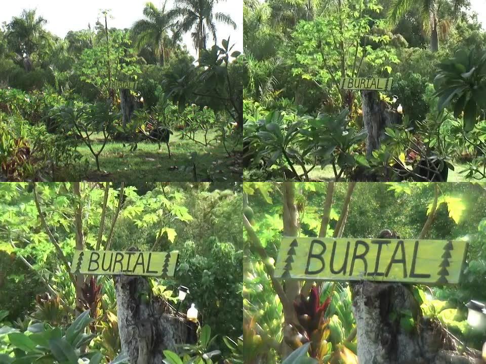 丛林中的埋葬标志
