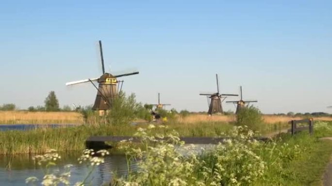令人惊叹的古董荷兰磨坊在广阔的干燥草地旁边的大河