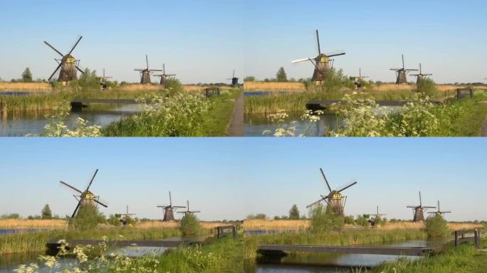 令人惊叹的古董荷兰磨坊在广阔的干燥草地旁边的大河