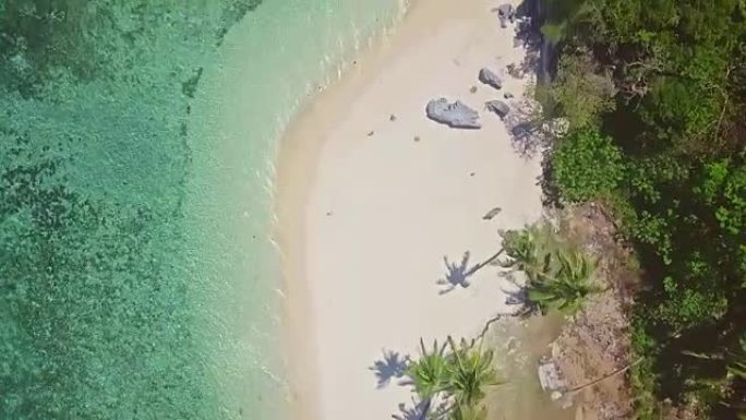 菲律宾巴拉望带有椰子树的海滩的航拍视频