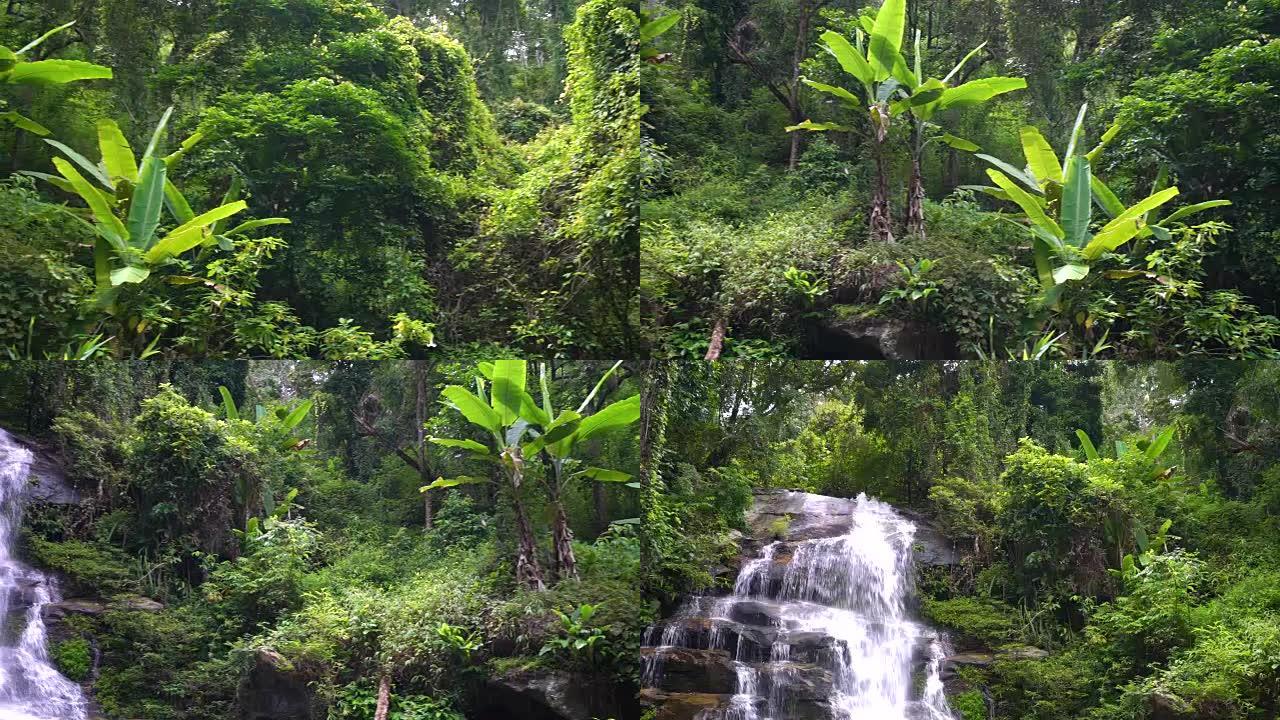 4K WS平移丛林和瀑布的镜头。