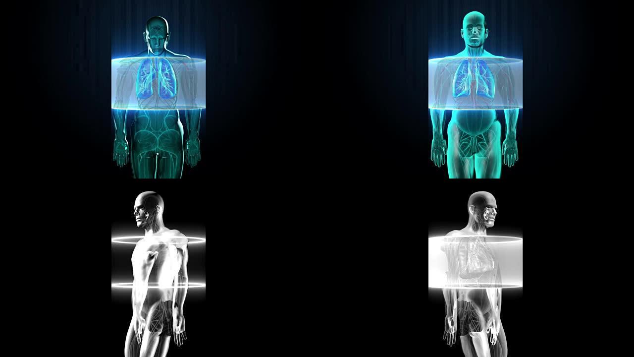 扫描体。旋转人肺，肺诊断，蓝色x射线光。