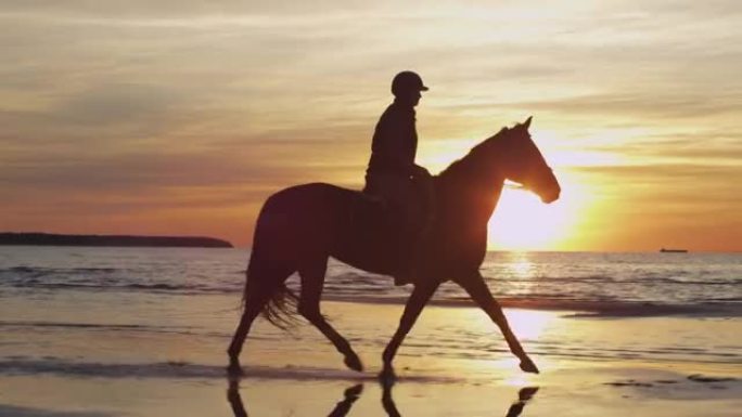 日落灯光下海滩骑马骑手的剪影。