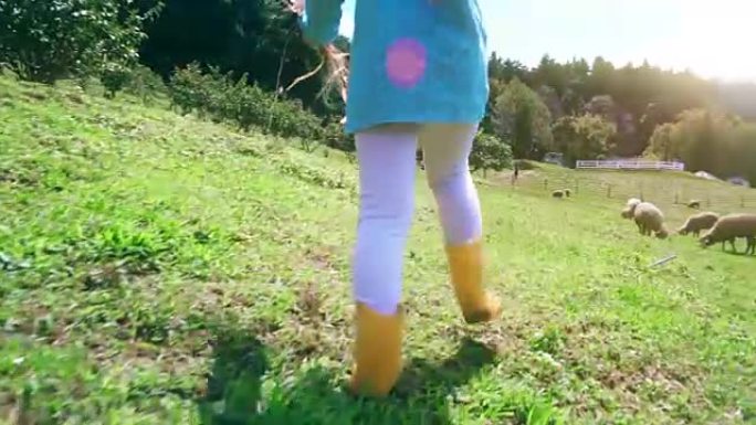 小女孩在养羊场向前走