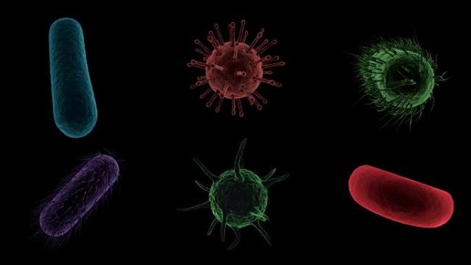 数字生成的病毒细胞，红细胞和细菌在黑色背景
