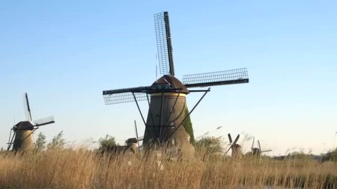 特写: 美丽的古董荷兰磨坊在河边广阔的干草场上