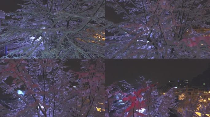 空中: 冬夜的白雪皑皑的城市光线
