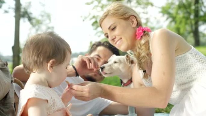 特写: 完美的年轻家庭，有婴儿和小狗在公园野餐