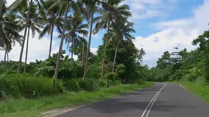 POV: 沿着空旷的混凝土路穿过热带雨林。