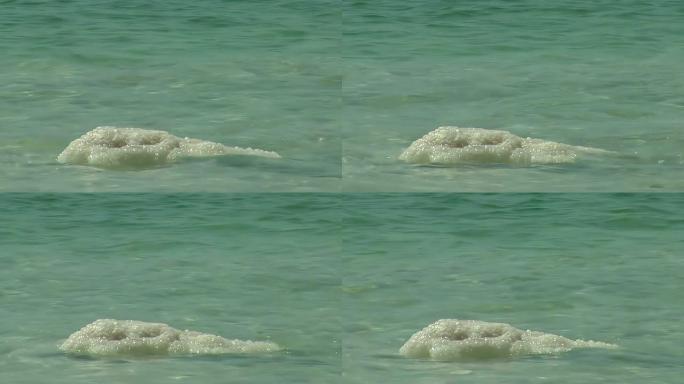 死海自然背景中的盐岩
