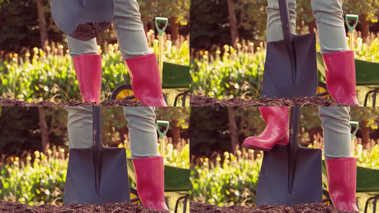 穿着粉红色橡胶靴的女人用铲子