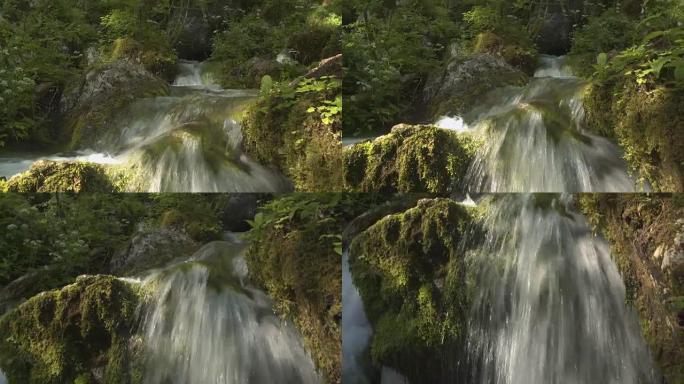 特写: 怀特沃特河瀑布和瀑布落在苔藓岩石上
