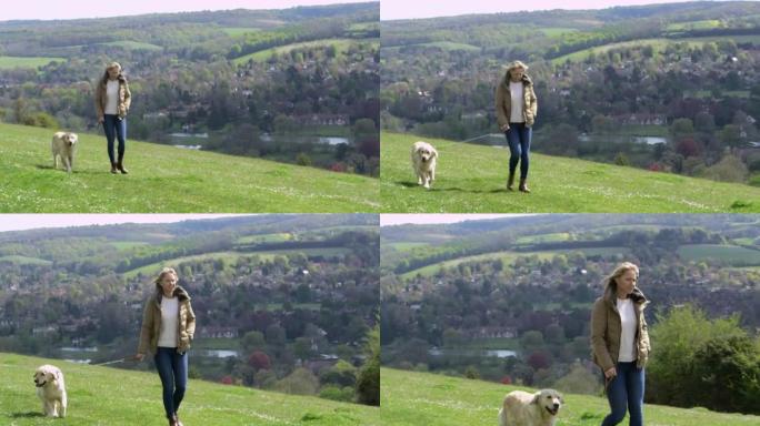在R3D上拍摄的成熟女人带狗在乡村散步