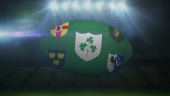 爱尔兰橄榄球在体育场内闪烁