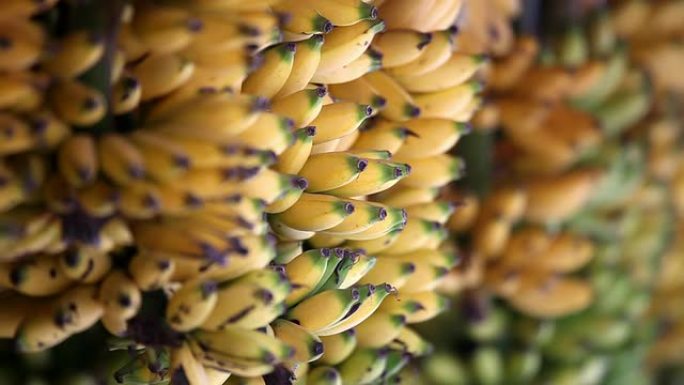 市场上的高清香蕉香蕉水果