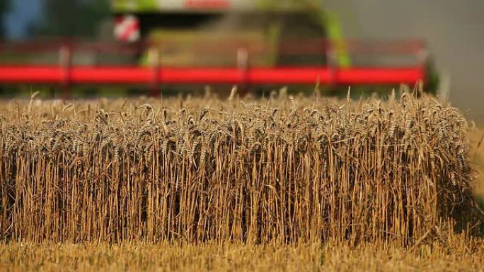 HD联合收割机收割麦田