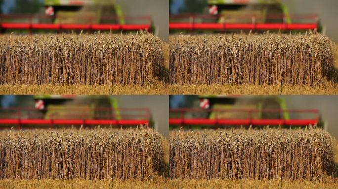 HD联合收割机收割麦田