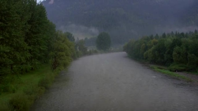 流动的河流被云杉森林环绕。背景中的山峰