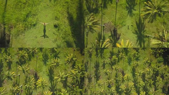 空中自上而下: 举起手臂的女人站在棕榈树之间的草地上