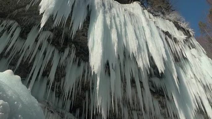 特写: 冬天，数百个闪闪发光的冰柱悬挂在山崖上