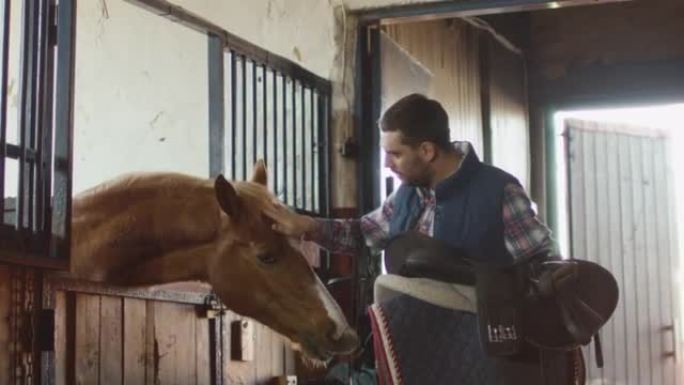 人拿着马鞍在马stable里抚摸着一匹马。