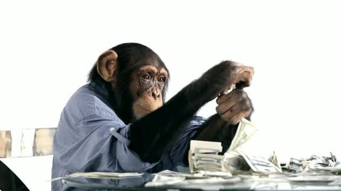 黑猩猩省钱