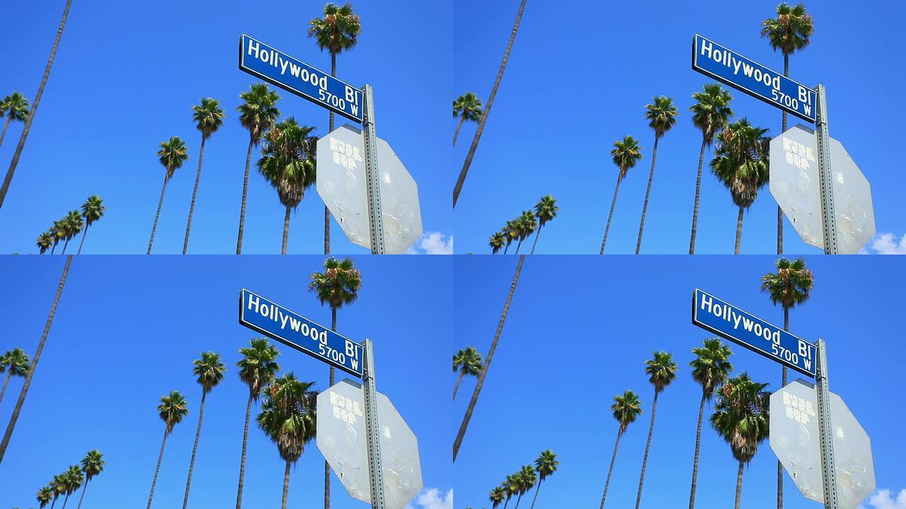 好莱坞-高清视频路牌干净蓝天背景棕树蓝天