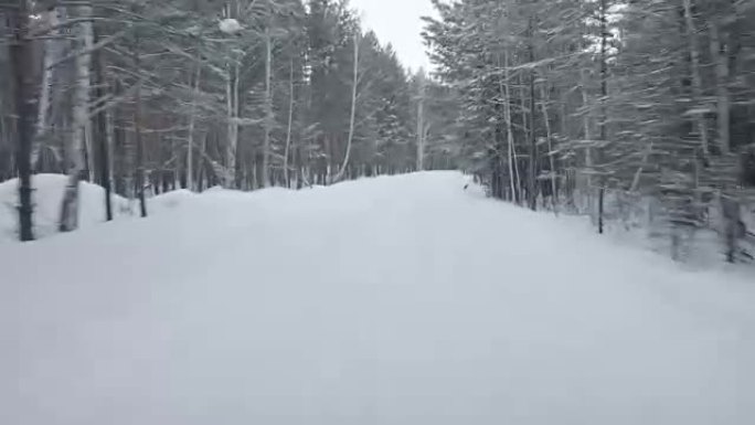 开车穿过大雪覆盖的森林路