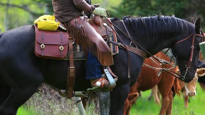 骑在马背上的牛仔女孩