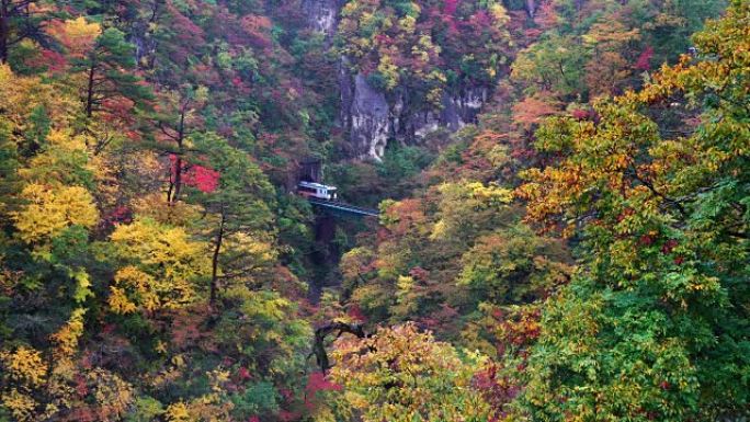 在日本下雨的多色秋季，火车从惊人的Naruko峡谷的隧道中驶出的4k镜头