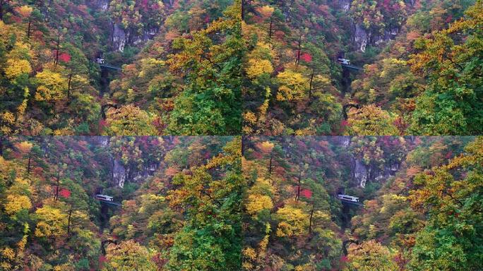 在日本下雨的多色秋季，火车从惊人的Naruko峡谷的隧道中驶出的4k镜头