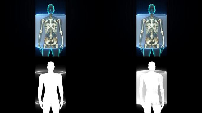 放大女性扫描人体骨骼结构，骨骼系统。