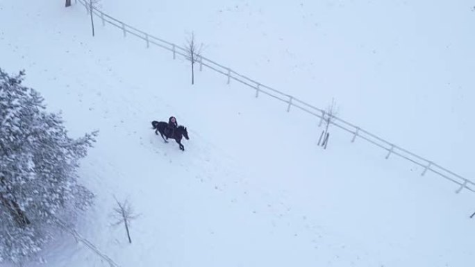 空中: 女骑手在冬季仙境的雪原中骑马