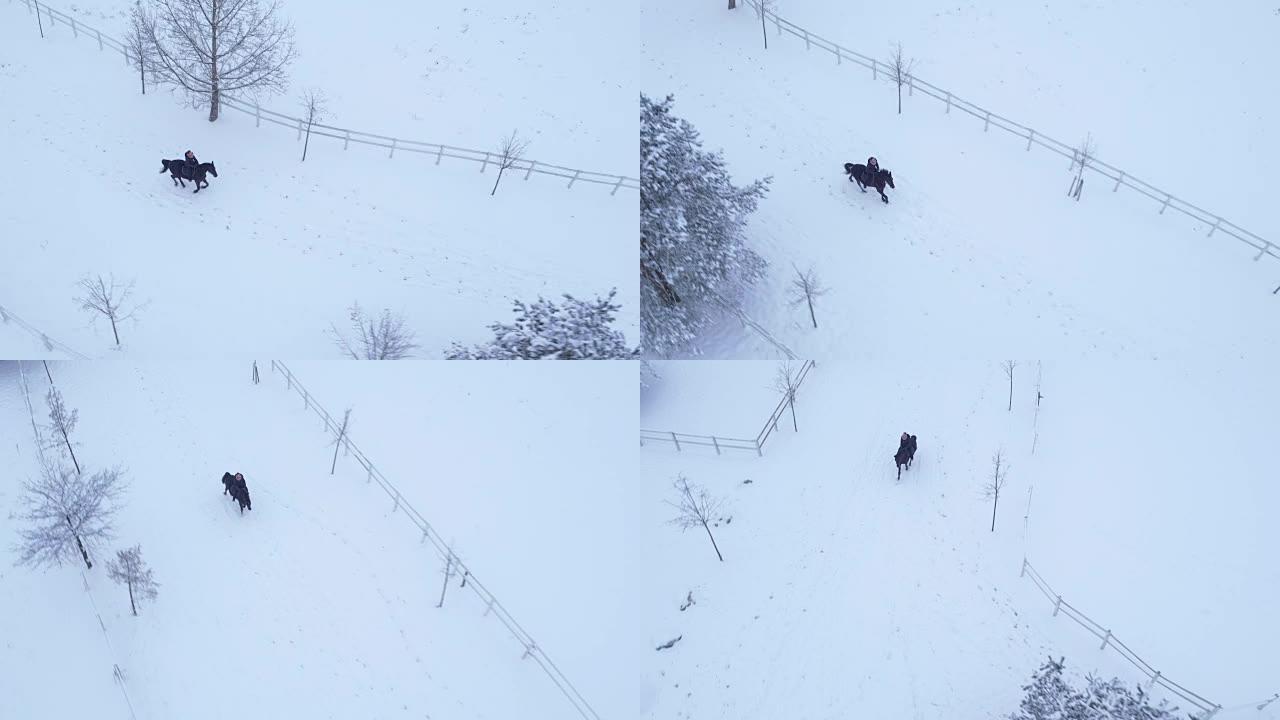 空中: 女骑手在冬季仙境的雪原中骑马