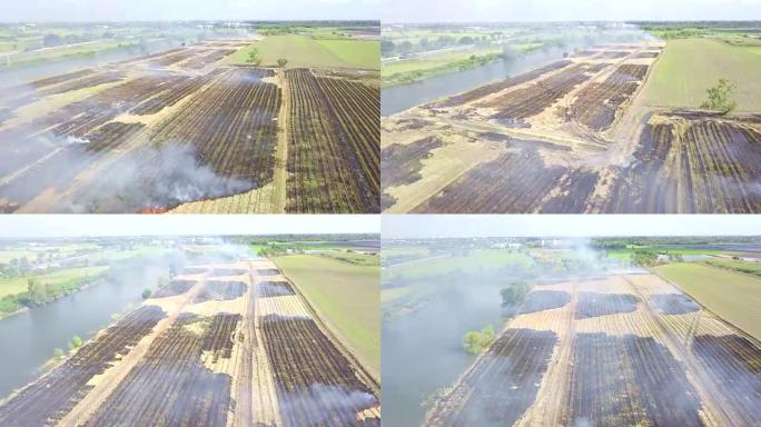 泰国大城府收获生物量燃烧后，鸟瞰图焚烧稻田玉米地