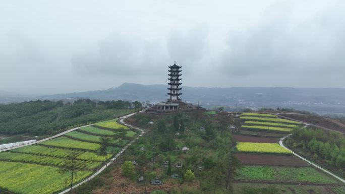 浙江绍兴嵊州亭山村油菜花航拍