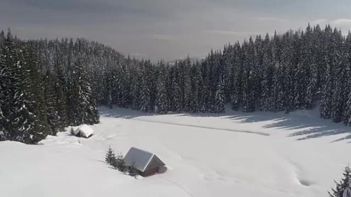空中: 冬季白雪皑皑的云杉森林中的高山小屋