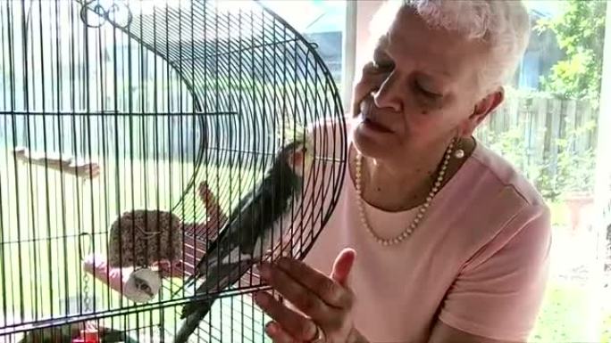 西班牙裔高级妇女和她的宠物鹦鹉