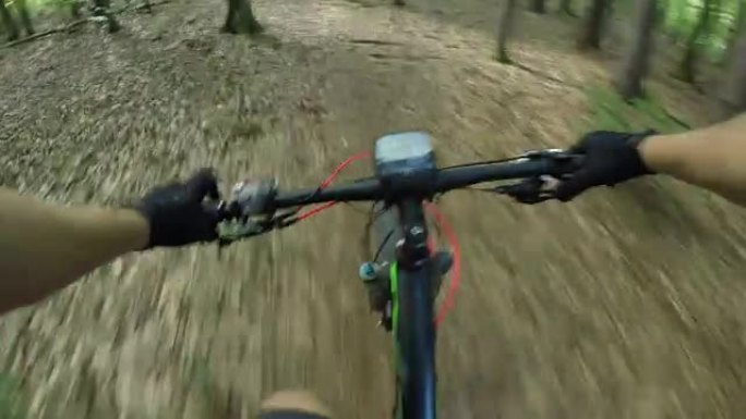 POV: 专业骑自行车的人骑着电动自行车下坡穿过深绿色的森林。
