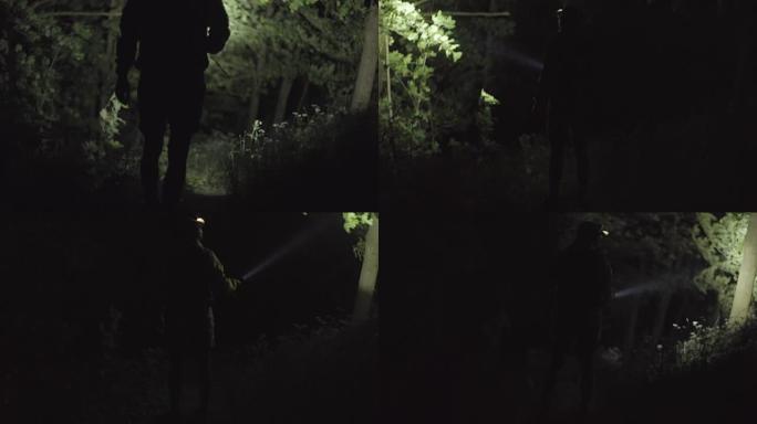Lonely walk in the forest at night