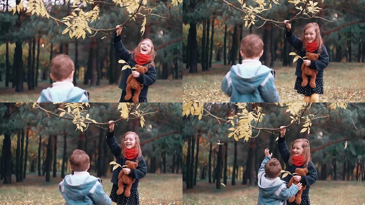 有趣的小女孩摇摇树枝，黄色的秋叶从树枝上掉下来，她的弟弟试图让她如何