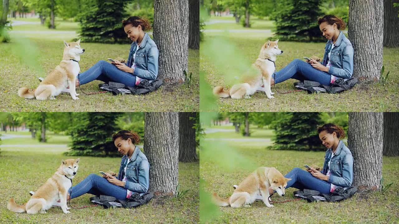 漂亮的混血女孩使用智能手机在树下公园放松的侧视图，而她可爱的柴犬正坐在主人附近享受大自然。