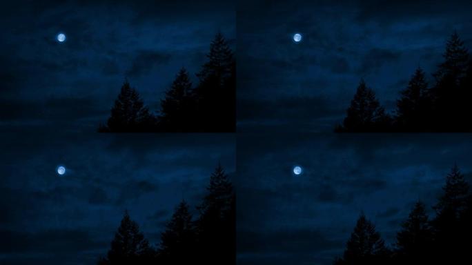 夜空掠过树木朦胧月色夜晚月空八月十五