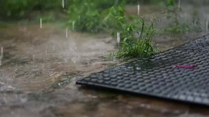 地面上的雨滴