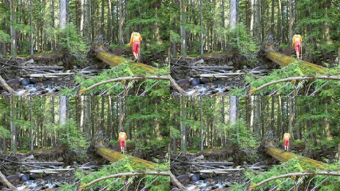 小女孩穿过森林中的木桥