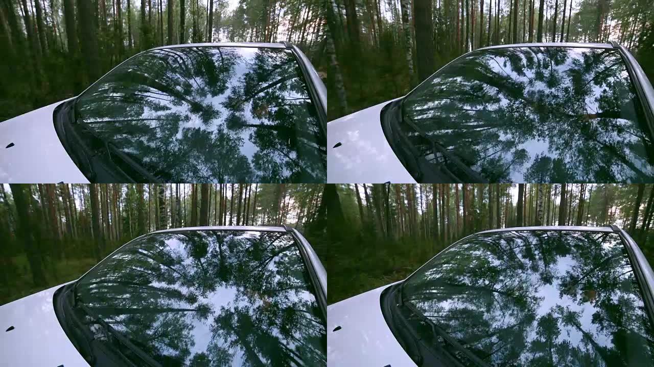 树映在车窗上。挡风玻璃反射。在乡村道路上行驶的汽车