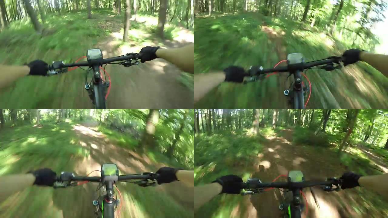 POV: 精力充沛的自行车骑手骑着电子自行车在森林小径上骑自行车。