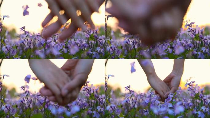 夫妻在日落时牵手鲜花