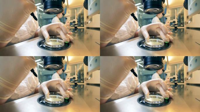 在显微镜测试中，技术人员用手搅拌实验室样本。